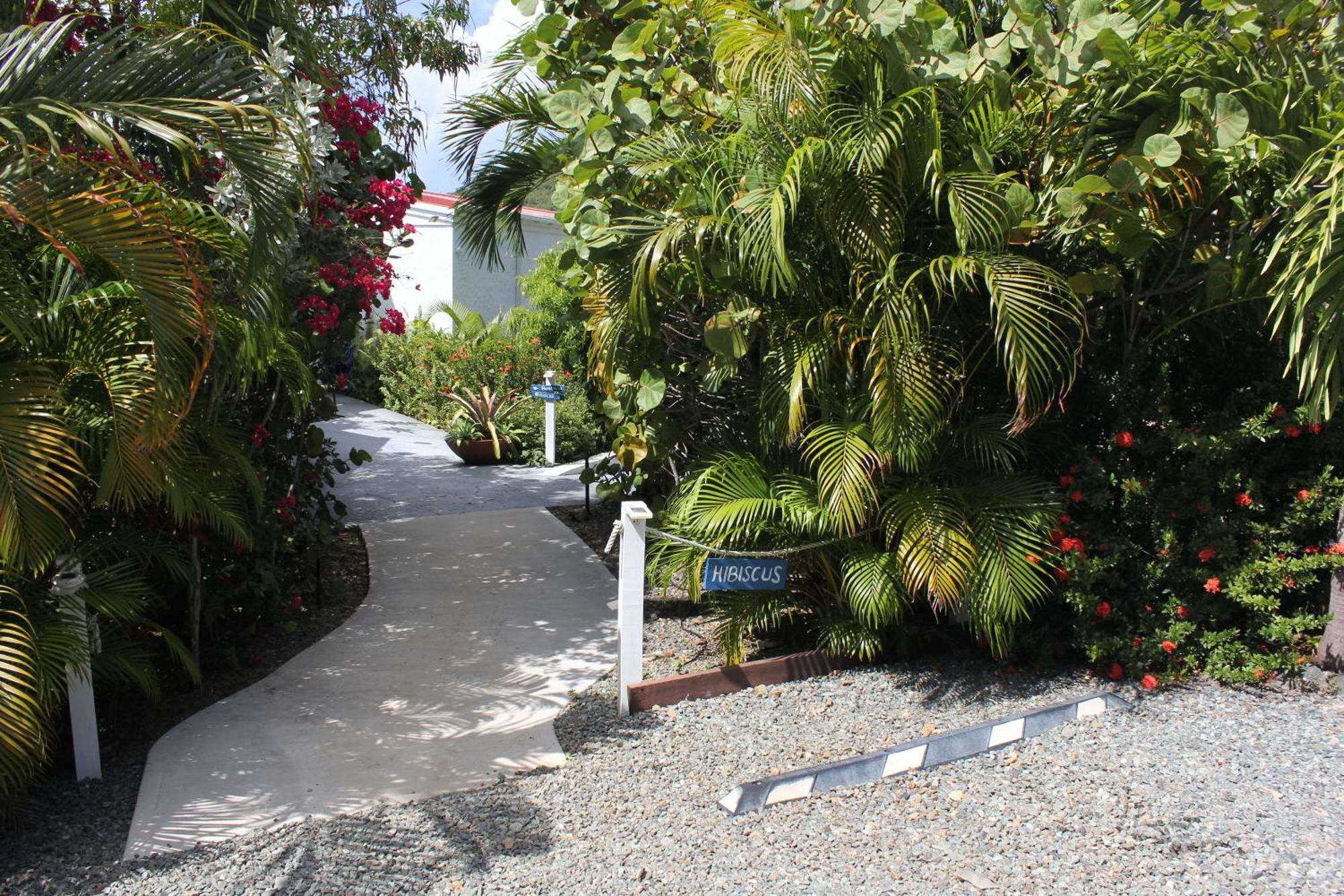 Fantastic Penthouse At Sunset Serenade Suites Cruz Bay Exteriér fotografie